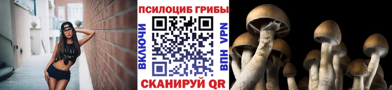 Галлюциногенные грибы Magic Shrooms  Братск 