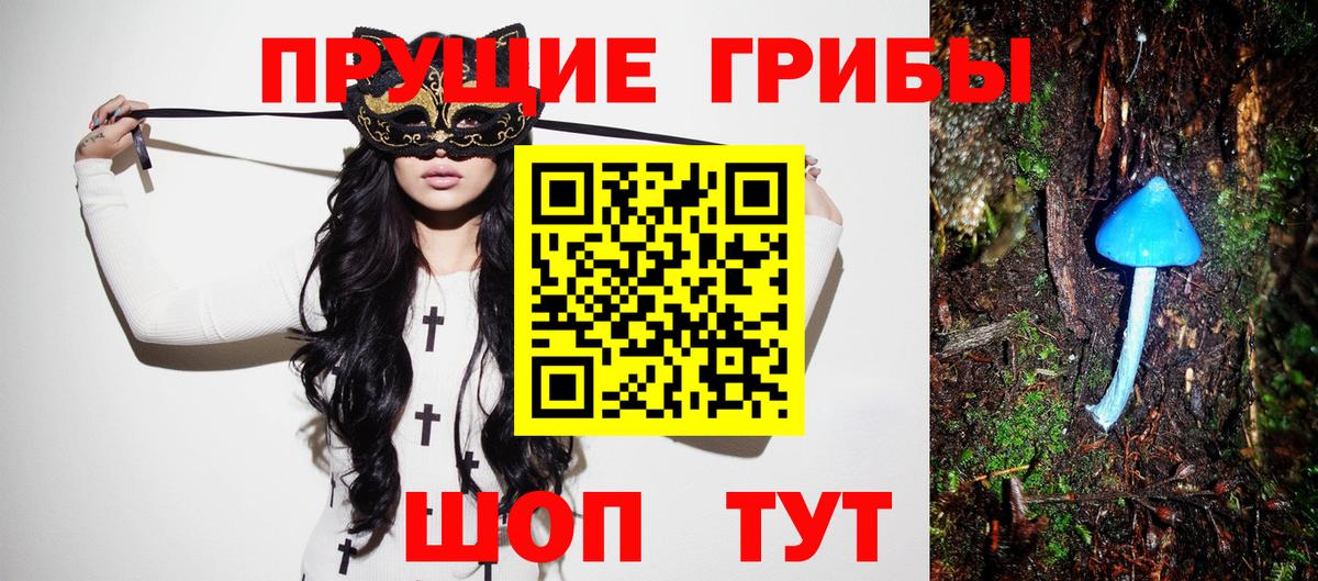 Братск  Галлюциногенные грибы Psilocybe  Вход с VPN  Галлюциногенные грибы GOLDEN TEACHER 
